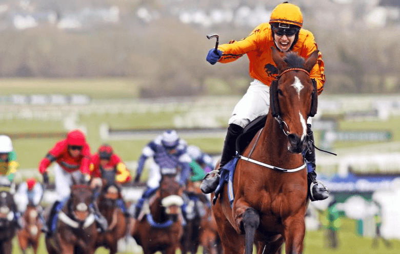 Horse Racing: The Importance of Studying Form and Trends