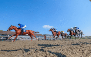Horse Racing: The Importance of Track Maintenance