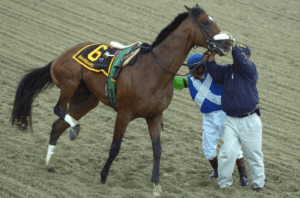 Horse Racing: The Influence of Track Design on Performance