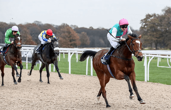 Horse Racing: The Most Prestigious Tracks You Should Know About