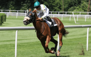 Horse Racing: The Role of the Jockey in Race Preparation